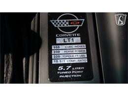 1996 Chevrolet Corvette (CC-2115683) for sale in Lake Mary, Florida
