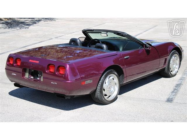 1996 Chevrolet Corvette (CC-2115683) for sale in Lake Mary, Florida