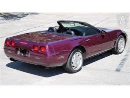 1996 Chevrolet Corvette (CC-2115683) for sale in Lake Mary, Florida