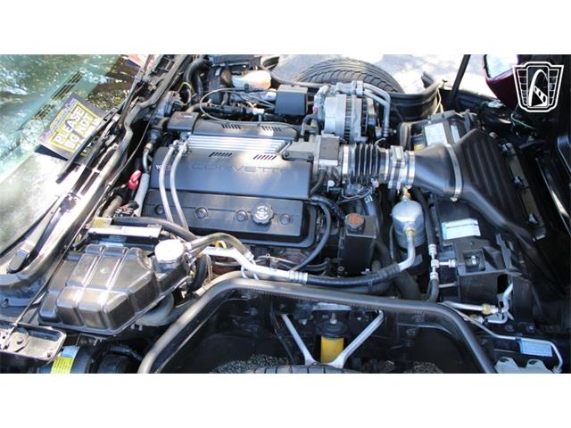 1996 Chevrolet Corvette (CC-2115683) for sale in Lake Mary, Florida