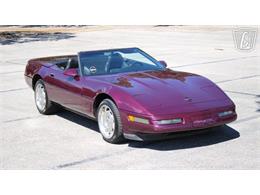 1996 Chevrolet Corvette (CC-2115683) for sale in Lake Mary, Florida