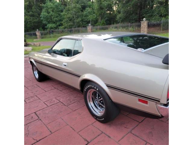 1971 Ford Mustang (CC-2115687) for sale in Cadillac, Michigan
