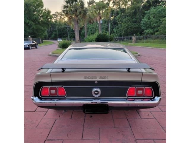 1971 Ford Mustang (CC-2115687) for sale in Cadillac, Michigan