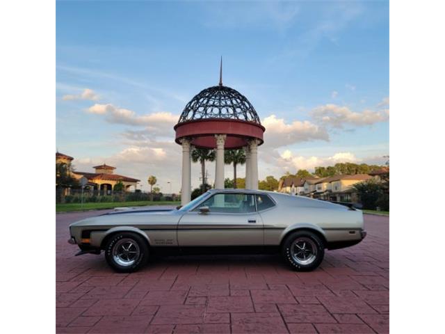 1971 Ford Mustang (CC-2115687) for sale in Cadillac, Michigan
