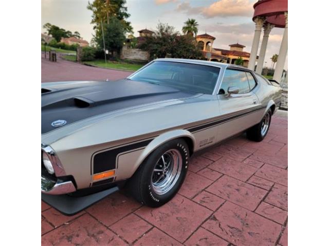 1971 Ford Mustang (CC-2115687) for sale in Cadillac, Michigan