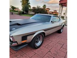 1971 Ford Mustang (CC-2115687) for sale in Cadillac, Michigan