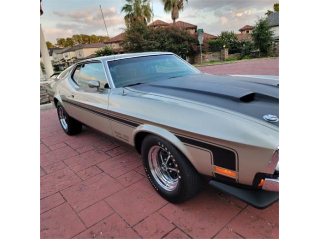 1971 Ford Mustang (CC-2115687) for sale in Cadillac, Michigan
