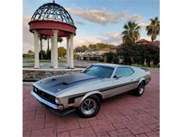 1971 Ford Mustang (CC-2115687) for sale in Cadillac, Michigan