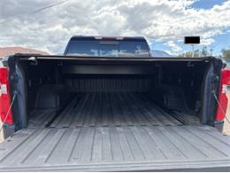 2020 Chevrolet Silverado (CC-2115690) for sale in Cadillac, Michigan