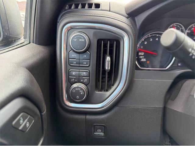2020 Chevrolet Silverado (CC-2115690) for sale in Cadillac, Michigan