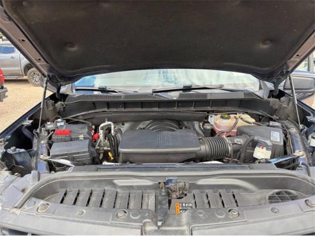 2020 Chevrolet Silverado (CC-2115690) for sale in Cadillac, Michigan