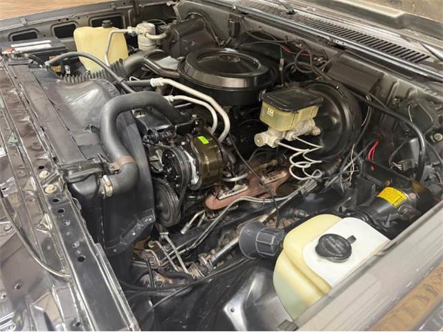 1987 Chevrolet C10 (CC-2115701) for sale in Cadillac, Michigan