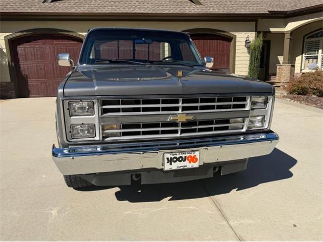 1987 Chevrolet C10 (CC-2115701) for sale in Cadillac, Michigan