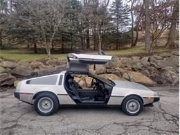 1981 DeLorean DMC-12 (CC-2115713) for sale in Greensboro, North Carolina