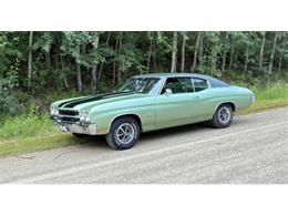 1970 Chevrolet Chevelle (CC-2110574) for sale in Cadillac, Michigan