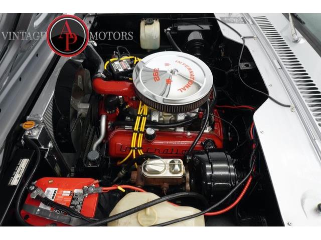 1977 International Scout (CC-2115751) for sale in Statesville, North Carolina