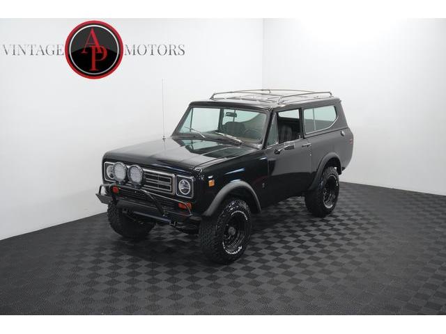 1977 International Scout (CC-2115766) for sale in Statesville, North Carolina