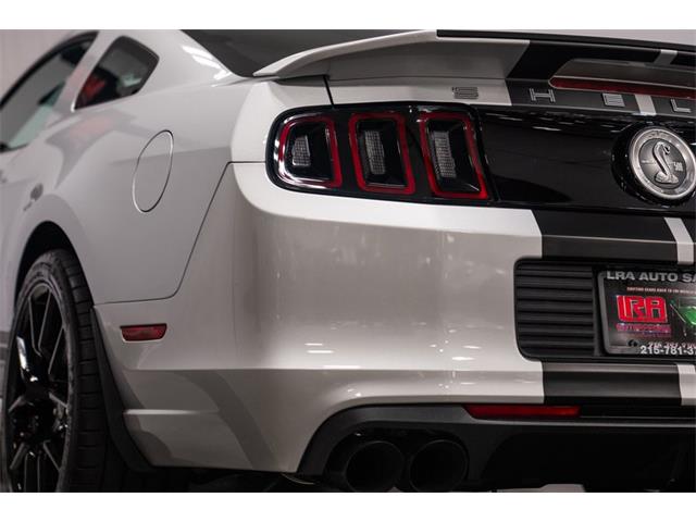 2013 Ford Shelby GT500  (CC-2115768) for sale in Bristol, Pennsylvania