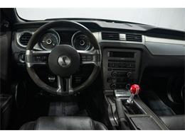 2013 Ford Shelby GT500  (CC-2115768) for sale in Bristol, Pennsylvania
