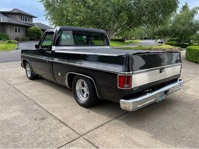 1977 Chevrolet C10 (CC-2110578) for sale in Cadillac, Michigan