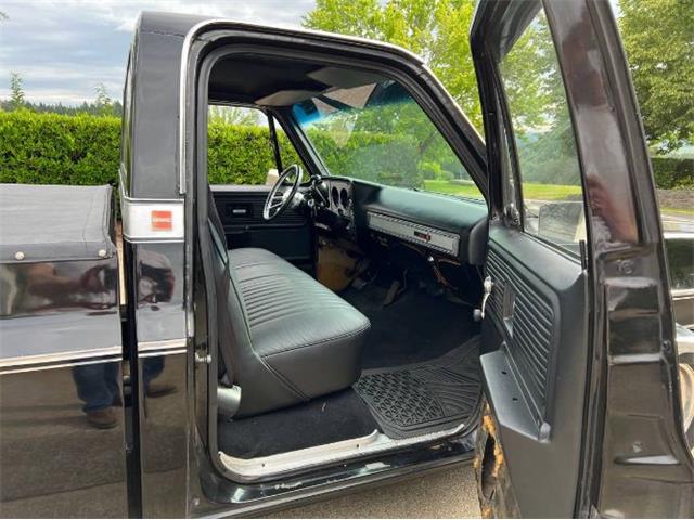 1977 Chevrolet C10 (CC-2110578) for sale in Cadillac, Michigan