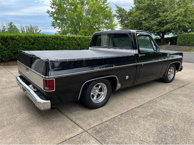 1977 Chevrolet C10 (CC-2110578) for sale in Cadillac, Michigan