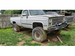 1987 Chevrolet Cheyenne (CC-2110579) for sale in Cadillac, Michigan