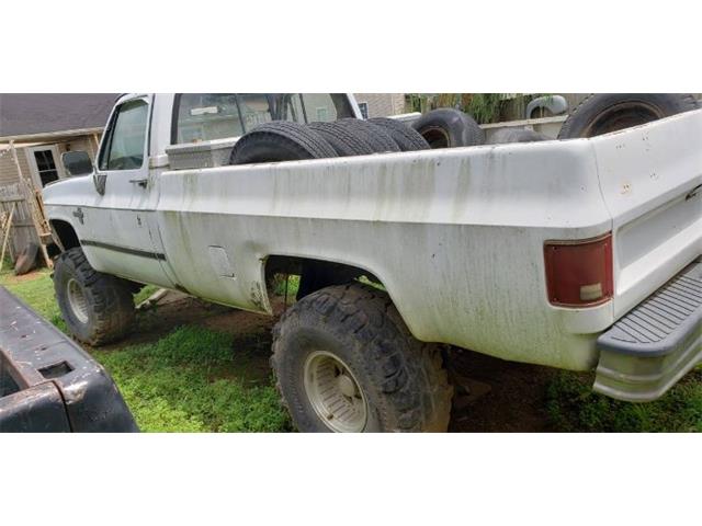 1987 Chevrolet Cheyenne (CC-2110579) for sale in Cadillac, Michigan