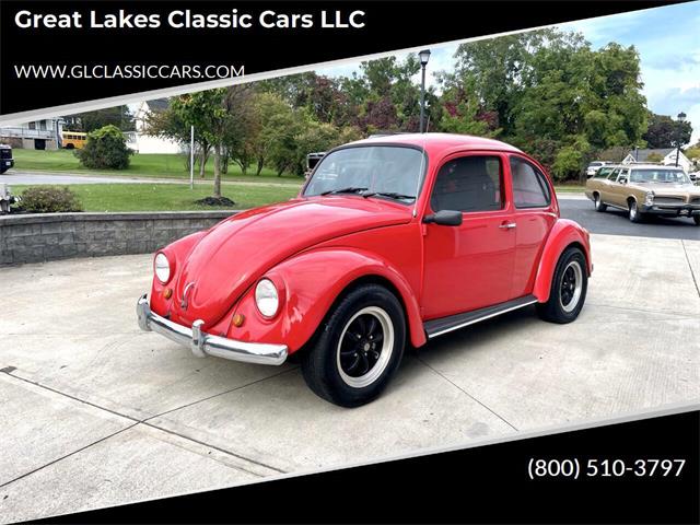 1975 Volkswagen Beetle (CC-2115797) for sale in Hilton, New York