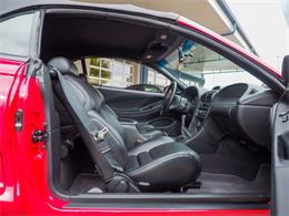 1997 Ford Mustang (CC-2115798) for sale in Englewood, Colorado