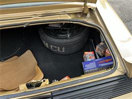 1979 Pontiac Firebird Trans Am (CC-2115836) for sale in Heath, Ohio