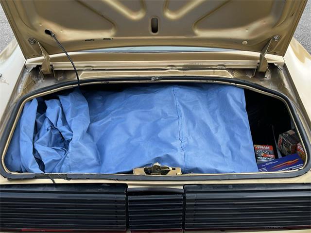 1979 Pontiac Firebird Trans Am (CC-2115836) for sale in Heath, Ohio