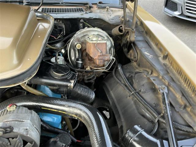 1979 Pontiac Firebird Trans Am (CC-2115836) for sale in Heath, Ohio