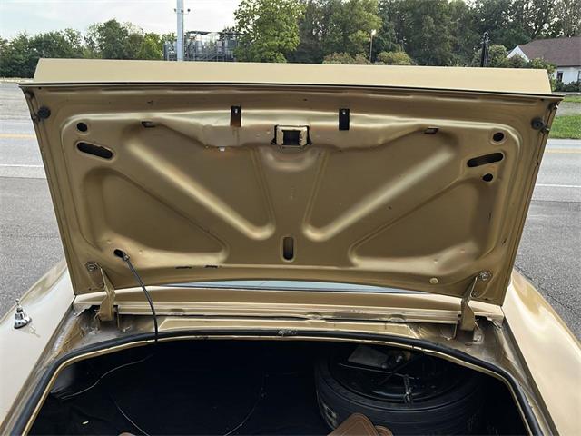 1979 Pontiac Firebird Trans Am (CC-2115836) for sale in Heath, Ohio