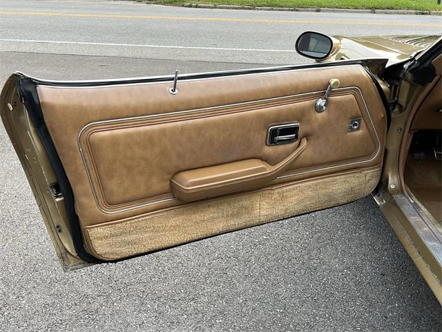 1979 Pontiac Firebird Trans Am (CC-2115836) for sale in Heath, Ohio