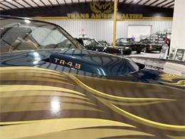 1979 Pontiac Firebird Trans Am (CC-2115850) for sale in Miami, Florida