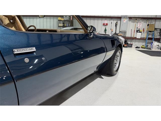 1979 Pontiac Firebird Trans Am (CC-2115850) for sale in Miami, Florida