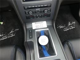 2010 Ford Mustang Shelby GT500 (CC-2115854) for sale in Newark, Ohio