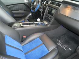 2010 Ford Mustang Shelby GT500 (CC-2115854) for sale in Newark, Ohio