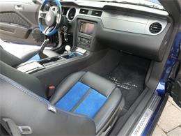 2010 Ford Mustang Shelby GT500 (CC-2115854) for sale in Newark, Ohio