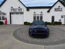 2010 Ford Mustang Shelby GT500 (CC-2115854) for sale in Newark, Ohio