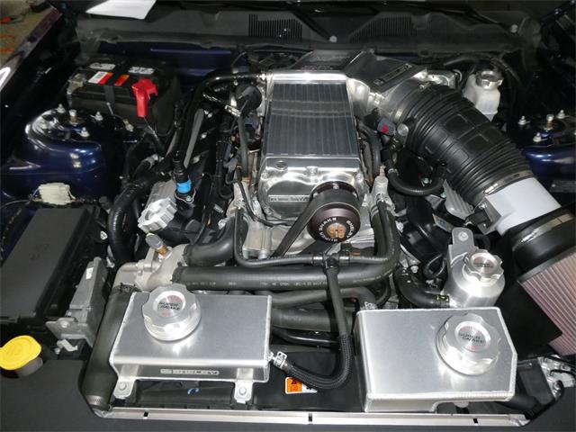 2010 Ford Mustang Shelby GT500 (CC-2115854) for sale in Newark, Ohio