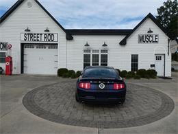 2010 Ford Mustang Shelby GT500 (CC-2115854) for sale in Newark, Ohio
