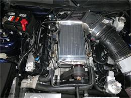 2010 Ford Mustang Shelby GT500 (CC-2115854) for sale in Newark, Ohio