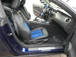 2010 Ford Mustang Shelby GT500 (CC-2115854) for sale in Newark, Ohio