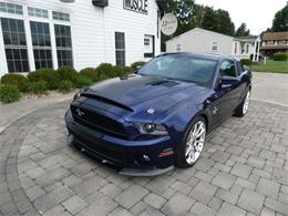 2010 Ford Mustang Shelby GT500 (CC-2115854) for sale in Newark, Ohio