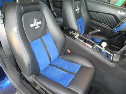 2010 Ford Mustang Shelby GT500 (CC-2115854) for sale in Newark, Ohio