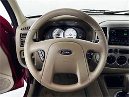 2005 Ford Escape (CC-2115867) for sale in Bloomington, Illinois