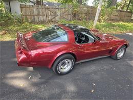 1979 Chevrolet Corvette (CC-2115872) for sale in Canton, Ohio