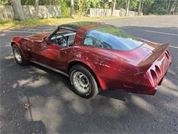 1979 Chevrolet Corvette (CC-2115872) for sale in Canton, Ohio